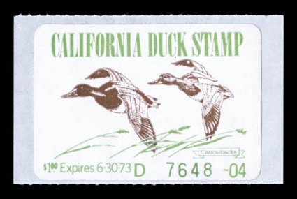 CA1-31, 1971-2000 California Duck stamps cplt. including the 1995 souvenir sheet, both varieties of 5 and both a single and a pair of 9, o.g., n.h. or on original backing, a
couple values with backing glue soaked lightly through the stamps (th