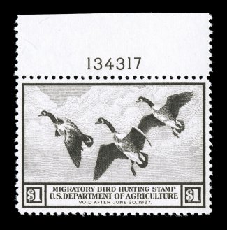 RW3, 1936 $1.00 Brown black, handsome top margin plate no. 134317 single, wonderfully well balanced margins all around, exceptionally bright and fresh, o.g., stamp n.h.
(lightly hinged in the selvage only), typical natural gum bend, extremely fi